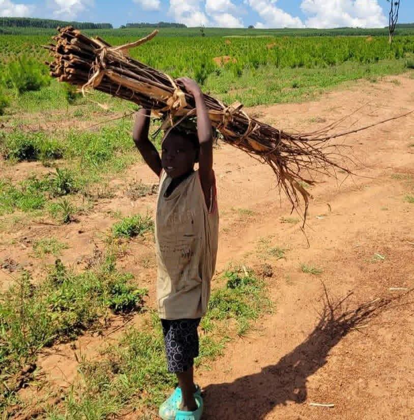 Community in Uganda