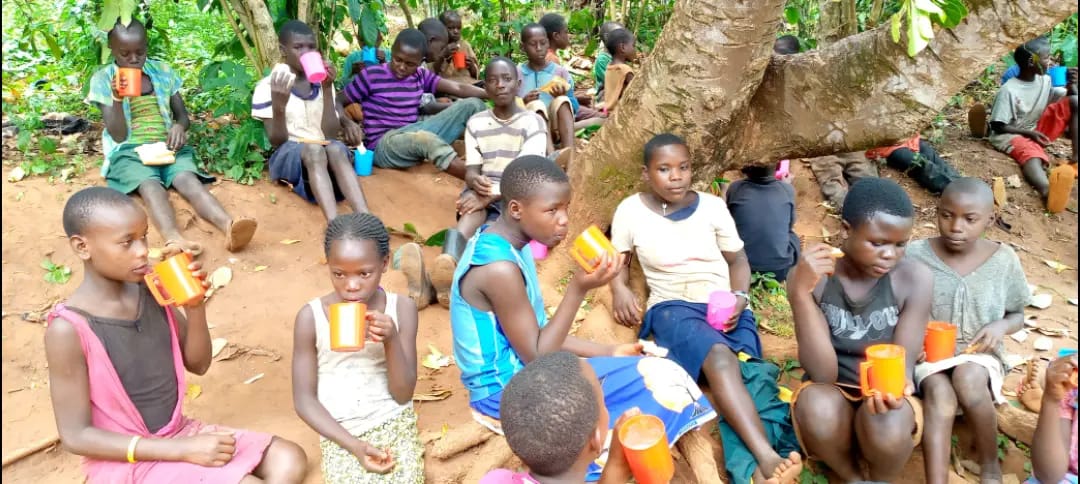 Meal distribution