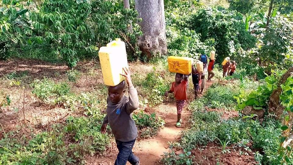 Water collection